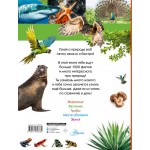 100 тысяч почему на каждый день. Природа. Кристина Банфи