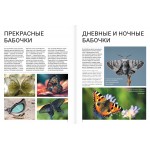 Бабочки. Анна Спектор