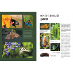 Бабочки. Анна Спектор