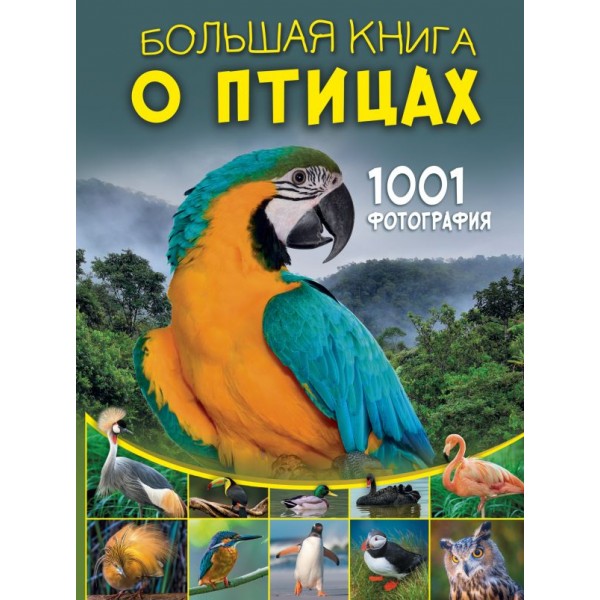 Большая книга о птицах. 1001 фотография. Елена Папуниди