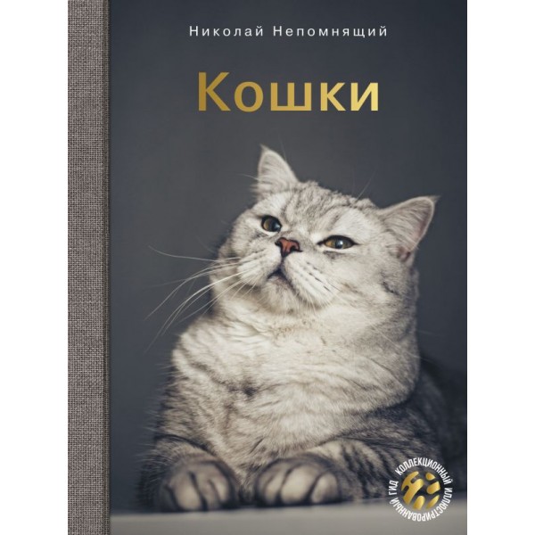 Кошки. Николай Непомнящий