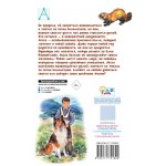 Лесси. Эрик Найт Лесси. Эрик Найт