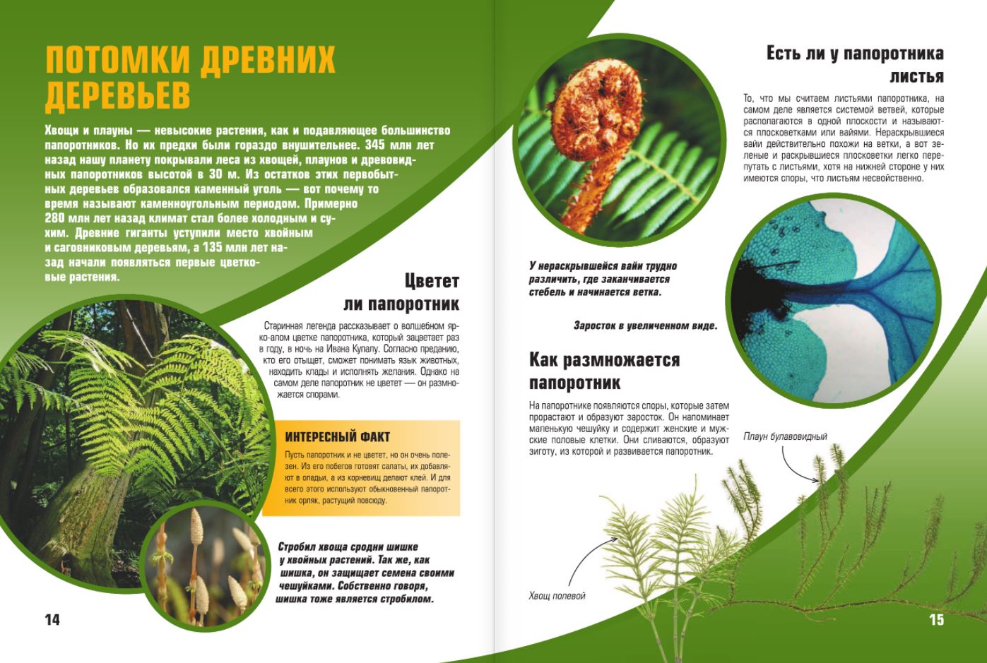 Самая большая детская энциклопедия — купить в Эстонии | Доставка по Европе