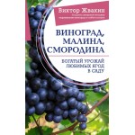 Виноград, малина, смородина. Виктор Жвакин