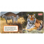 Зоопарк (с тактильными вставками). Марина Дружинина