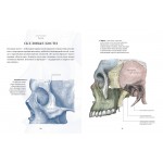 Анатомия  (с иллюстрациями из классической «Анатомии Грея»). Кристофер Джозеф