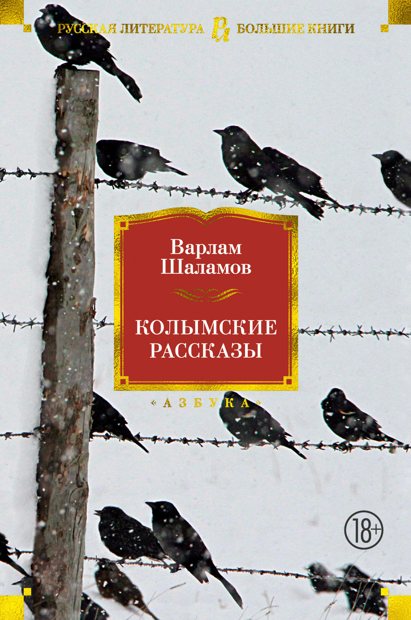 Шаламов колымские рассказы детские картинки анализ