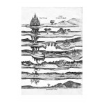 Короны Ниаксии. Певчая птица и каменное сердце. Книга первая. Карисса Бродбент