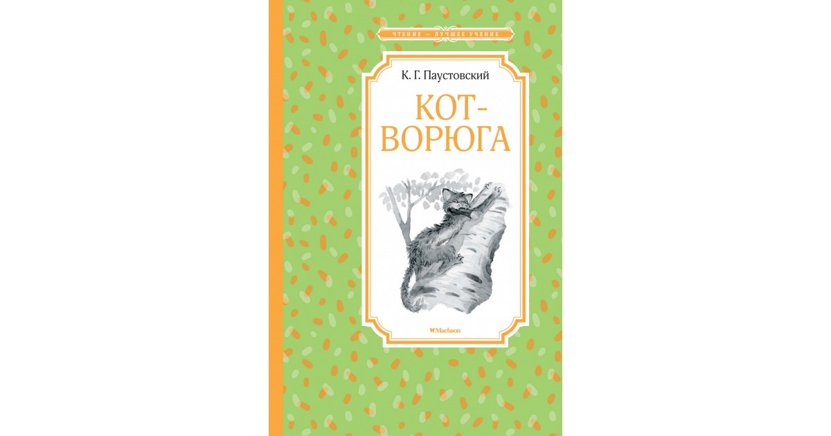 Сказка паустовского кот. Книжка Паустовский кот ворюга. Книга кот ворюга Паустовский.