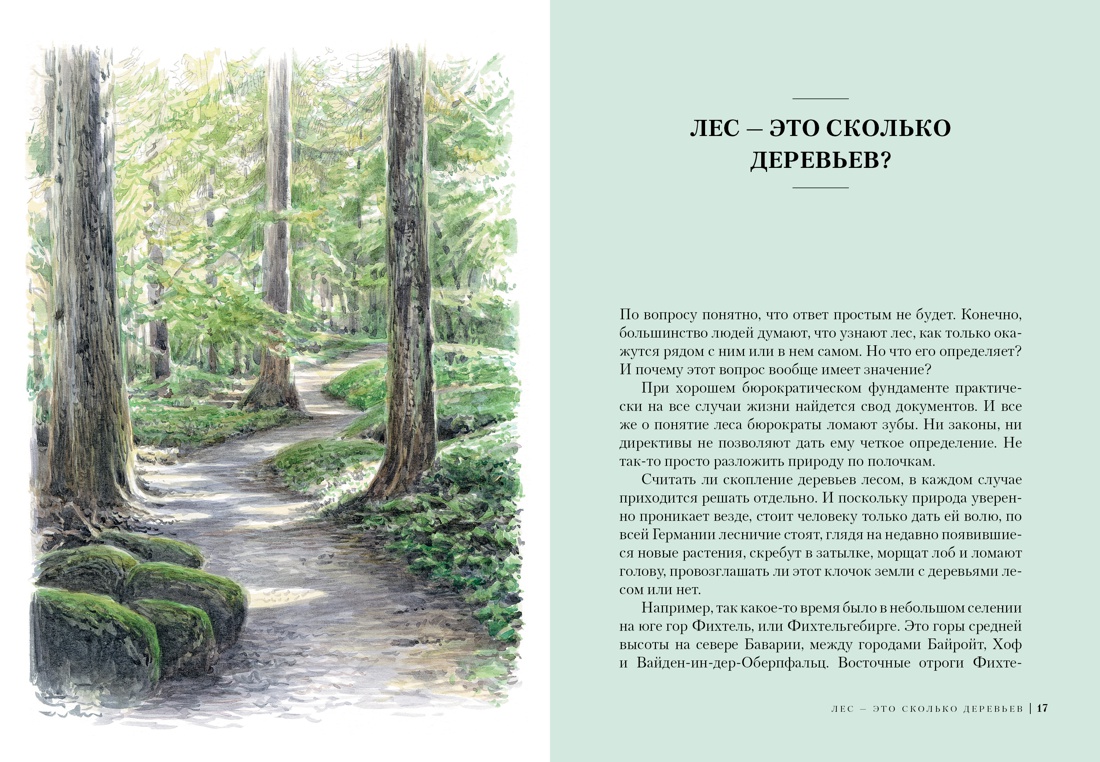 Лес. Как устроена лесная экосистема, Лохнер А. | Доставка по Европе