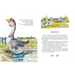 Смешные рассказы для детей. Михаил Зощенко