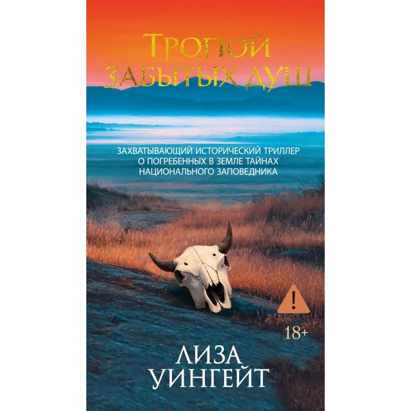 Тропой забытых душ. Лиза Уингейт