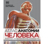 Атлас анатомии человека. Подробное иллюстрированное руководство. Элис Робертс