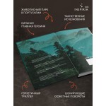 Дебри. Сара Пирс