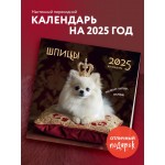 Шпицы. Календарь настенный на 2025 год. 