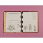 Sketchbook с уроками внутри. Визуальный экспресс-курс по рисованию (вишневый) 
