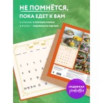 Ёжекалендарь (мандаринки). Календарь настенный на 2026 год