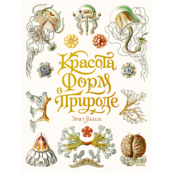 Красота форм в природе