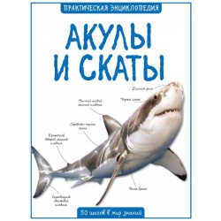 Акулы и скаты