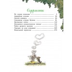 Большая книга Волшебного леса. Все приключения в одном томе с цв. илл.. Валько