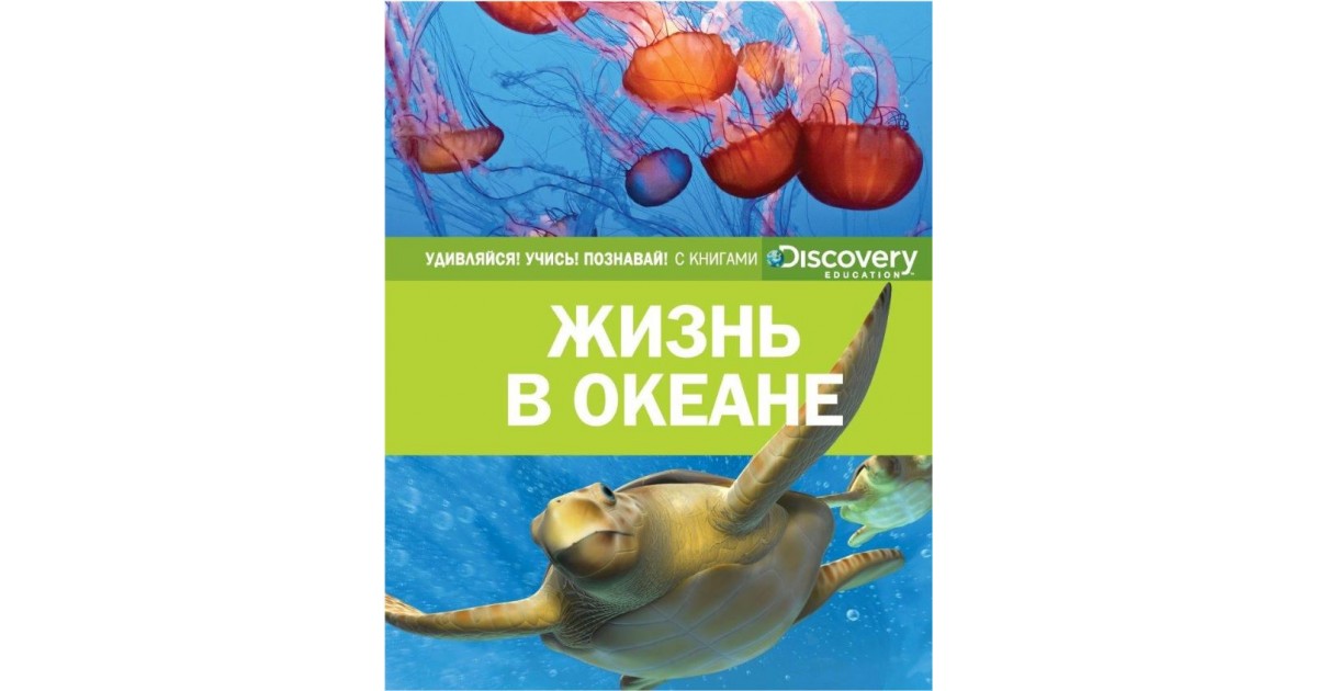 Один в океане книга. Жизнь в океане книга. Жизнь в океане Discovery. Жизнь в океане книга миф.