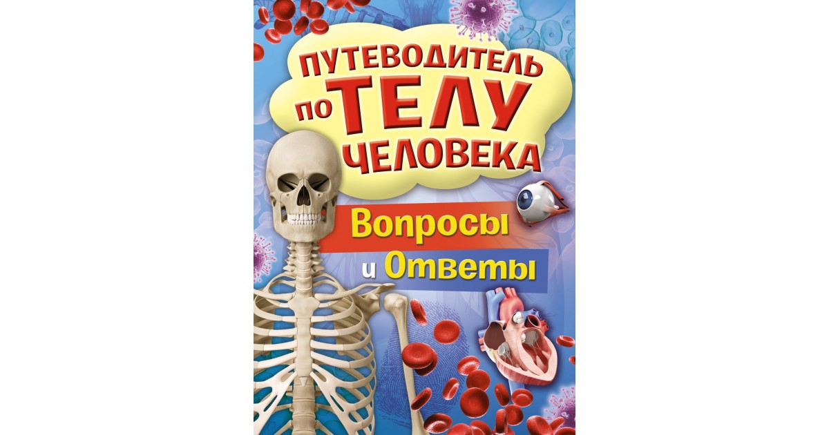 Путеводитель по телу человека. Вопросы и ответы | Доставка по Европе