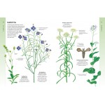 Всё о цветущих растениях, прекрасных и загадочных. Визуальная энциклопедия. Тони Харрис