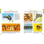 Животные-малютки. Жюли Дельфур