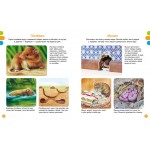 Животные-малютки. Жюли Дельфур