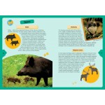 Животные планеты. Интерактивная детская энциклопедия с магнитами (в коробке). Жан-Мишель Бийу