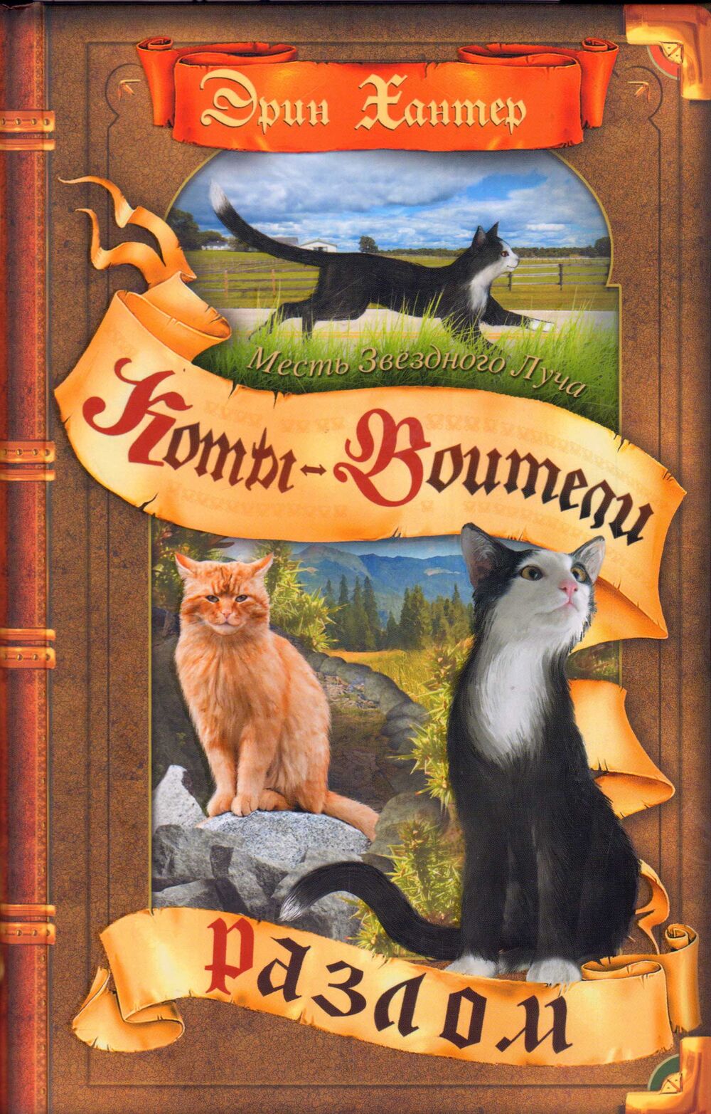 Коты-воители. Месть Звездного Луча. Разлом. Эрин Хантер | Доставка по ...