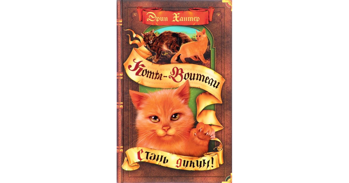 Читать полночь коты воители