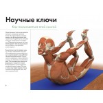 Ключевые мышцы йоги. Рэй Лонг