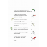 Новые приключения носков (ещё более невероятные). Юстина Беднарек