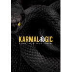 KARMALOGIC. Алексей Ситников