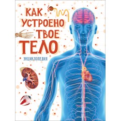 Как устроено твое тело