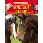 Лошади и пони. Детская энциклопедия. 
