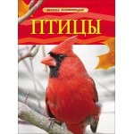 Птицы. Детская энциклопедия. Джиллиан Догерти