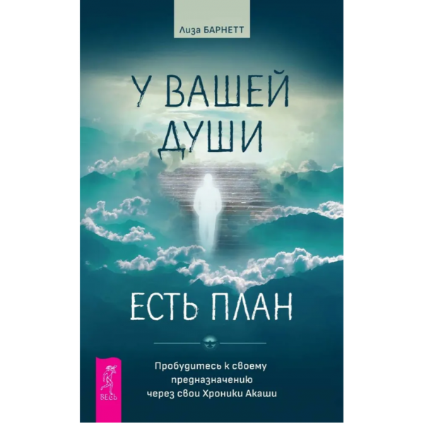 У вашей души есть план. Лиза Барнетт