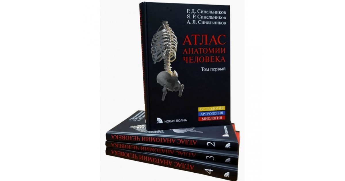 Учебник синельникова по анатомии. Атлас анатомии человека р.д Синельникова в 4 томах. Атлас анатомии человека Синельников. Атлас анатомии Синельников 2 том. 3 Атлас анатомии Синельников 1996.