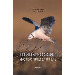 Птицы России. Фотоопределитель