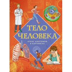 Тело человека. Атлас анатомии в картинках