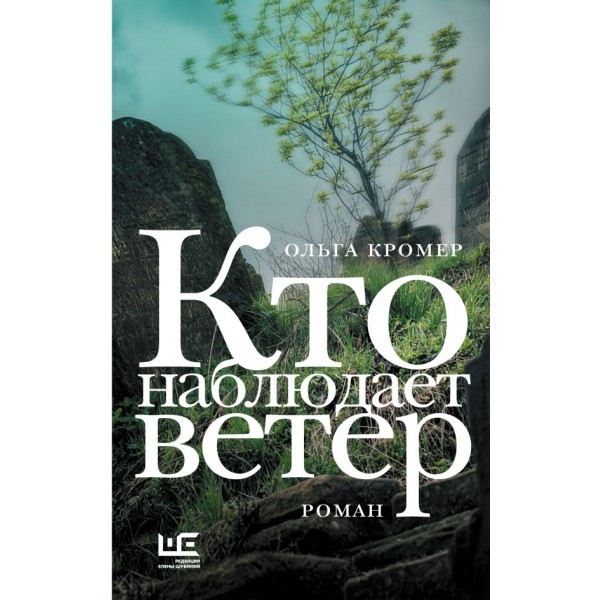Кто наблюдает ветер. Ольга Кромер