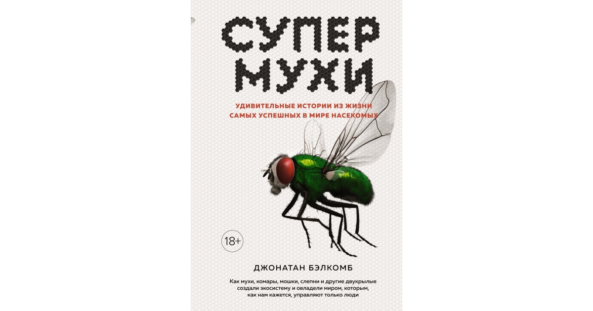 Сколько живут мухи и комары. Назойливая Муха. Назойливая Муха картинки. Роль мухи в жизни человека. Главная роль в Муха.