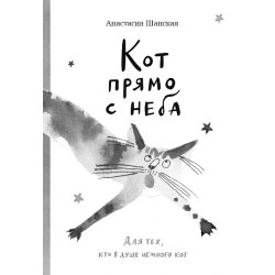 Кот прямо с неба.Для тех, кто в душе немного кот