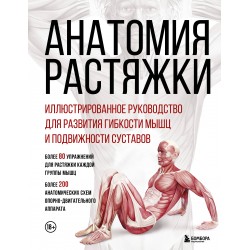 Анатомия растяжки