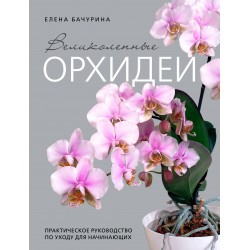 Великолепные орхидеи. Практичное руководство по уходу для начинающих