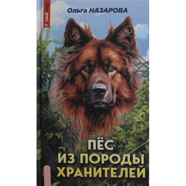 Пёс из породы хранителей. Ольга Назарова