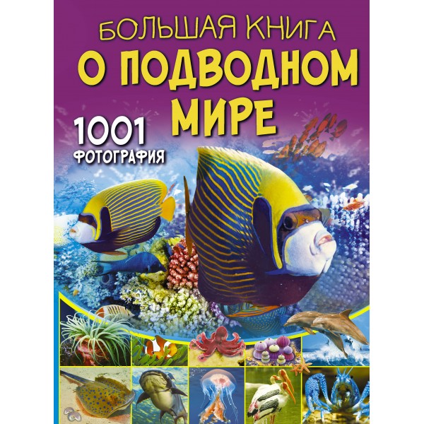 Большая книга о подводном мире. 1001 фотография.