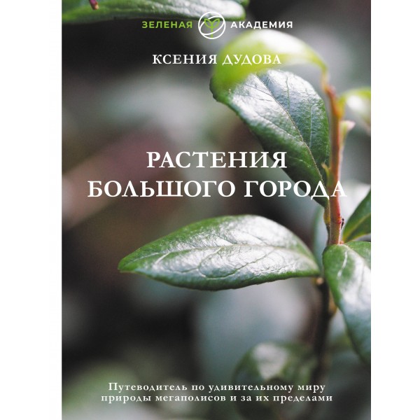 Растения большого города. Ксения Дудова